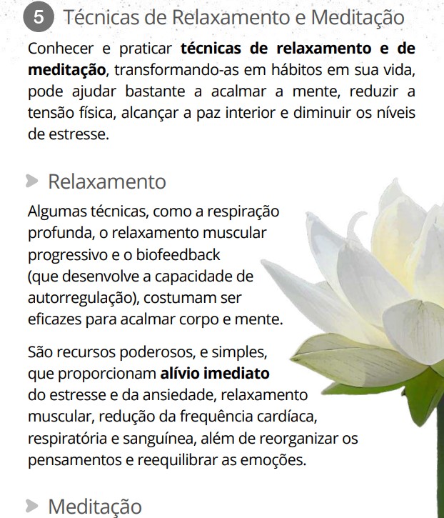 Trecho real do e-book: Técnicas de Relaxamento e Meditação